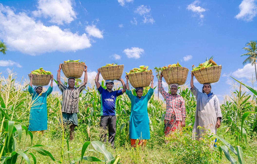 Farm HarvestIndex